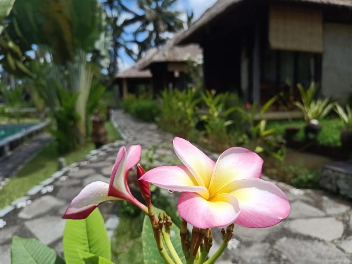 Taman Bintang Villa Ubud Εξωτερικό φωτογραφία