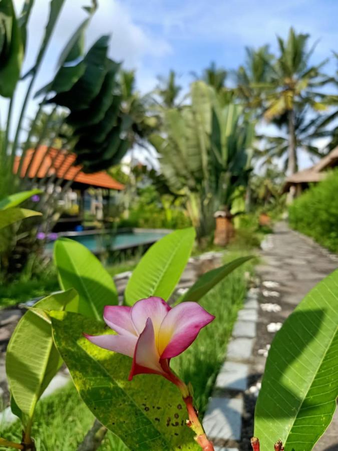 Taman Bintang Villa Ubud Εξωτερικό φωτογραφία