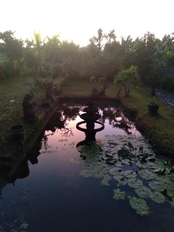 Taman Bintang Villa Ubud Εξωτερικό φωτογραφία